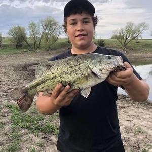 Meet your Posher, Dalton